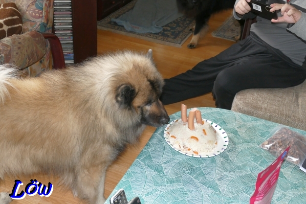 11.12.2025 - Dwix ist von der Torte begeistert